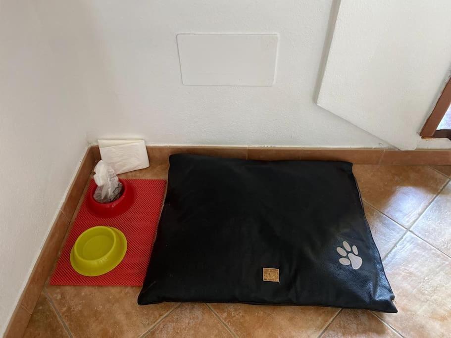 Casa Gina Apartment Porto Torres Ngoại thất bức ảnh